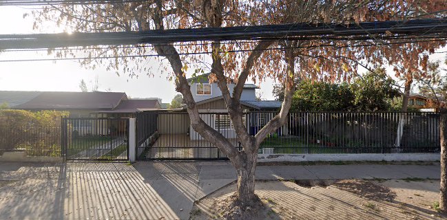 Marlis Alicia Vidal Peters