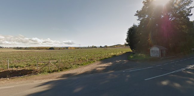 Restaurant Peruano Pulpo Al Olivo