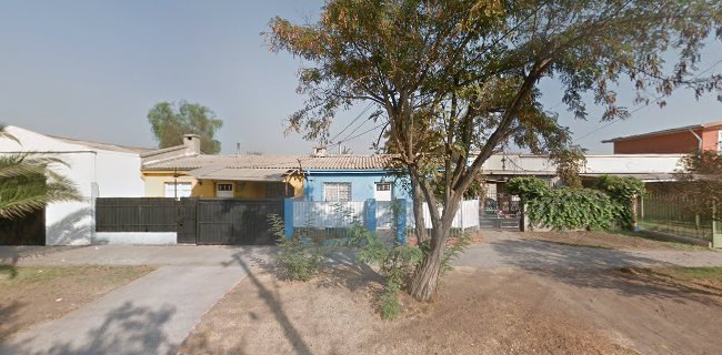 Procesados Alimentos