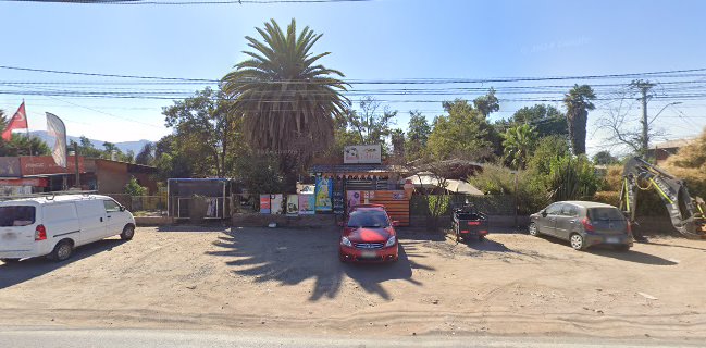 COFFEE PUG Sta Sara 17