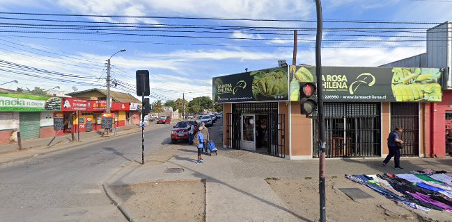 La Rosa Chilena Mejor marraqueta 2023