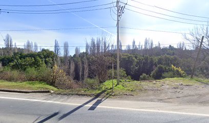 Sanguchería "Sabores Sureños" Food Truck